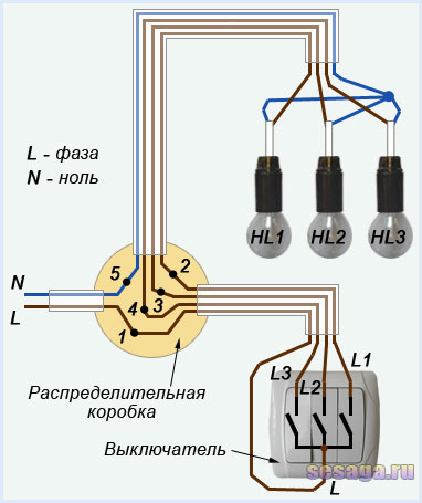 На стелі фазні дроти L1, L2, L3 підключаються до коричневих висновків ламп HL1, HL2, HL3