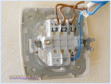 По одному дроту (в даному прикладі синього кольору) фаза L приходить на вимикач, а за трьома іншими (коричневим) L1, L2 і L3 фаза йде на навантаження