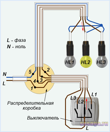 Тепер при натисканні середньої клавіші середній контакт замикається, і фаза проводом L2 надходить в розподільну коробку, де через точку 3 і стельовий провід потрапляє на коричневий висновок лампи HL2 і лампа загоряється